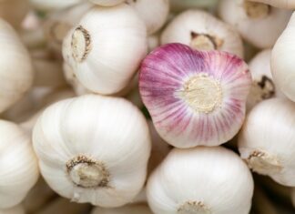 Kiedy dziecku nie trzeba podtrzymywać główki?