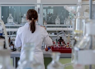 Co to jest test plus?