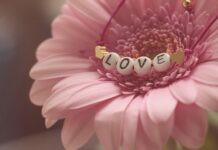 Co lepsze Gerber czy Bobovita?