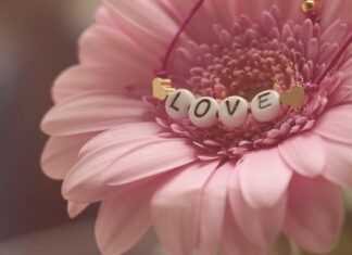 Co lepsze Gerber czy Bobovita?