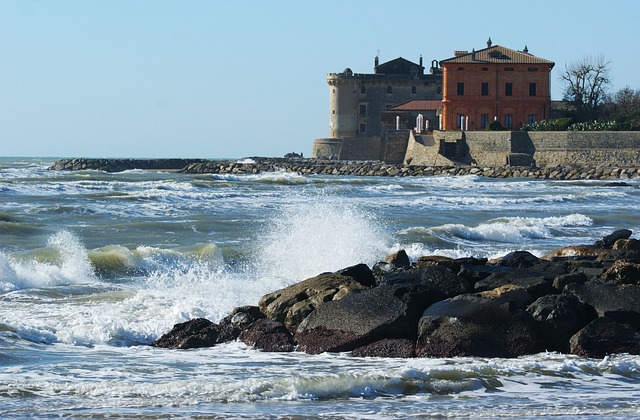 Co się dzieje po sprzedaniu nerki? Co się dzieje po sprzedaniu nerki?