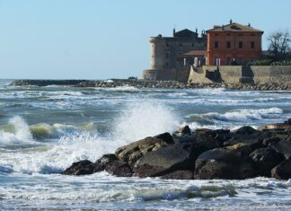 Czy sprzedanie nerki jest bezpieczne?