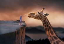 Bez czego można żyć? Bez czego można żyć?